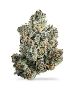 Cloud Berry