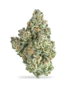 Green Truffle